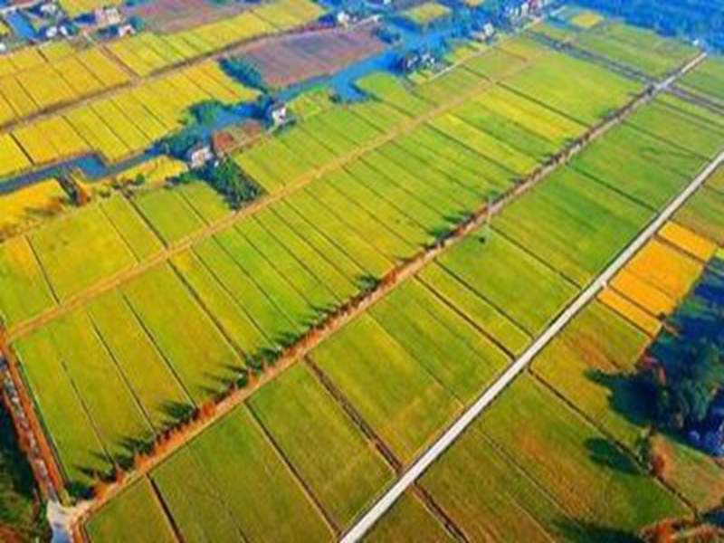 关于印发《河南省高标准农田建设评价激励实施办法》的通知